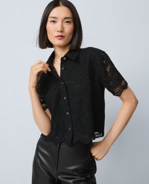 Lace Modern Blouse